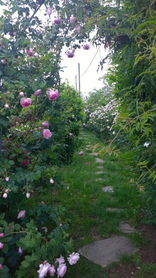 B&B Villa Giardini Susanna Gattico 外观 照片