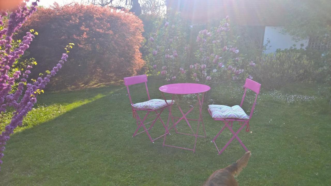 B&B Villa Giardini Susanna Gattico 外观 照片