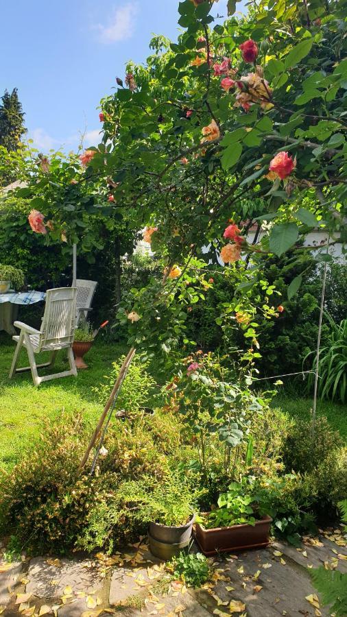 B&B Villa Giardini Susanna Gattico 外观 照片