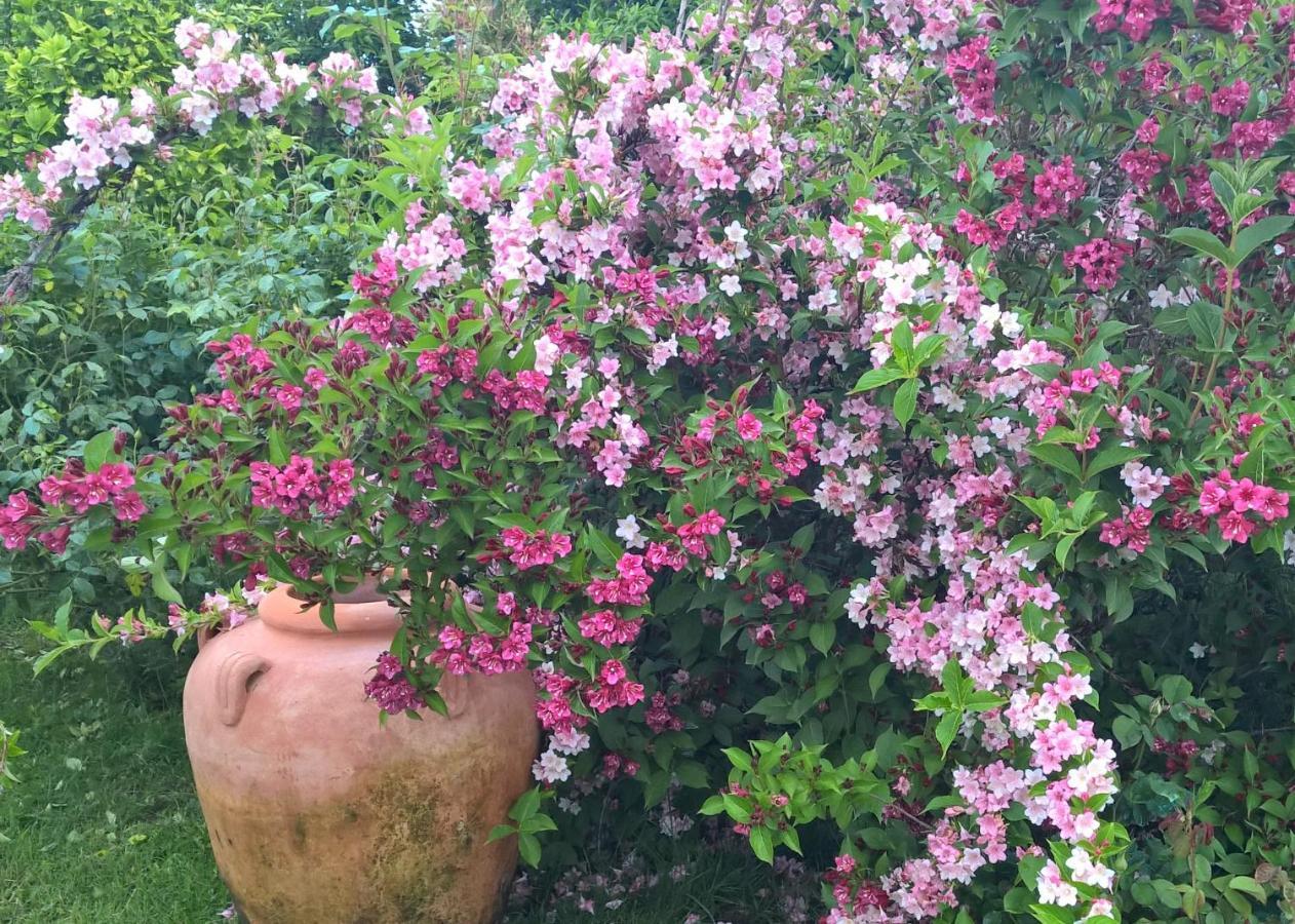 B&B Villa Giardini Susanna Gattico 外观 照片