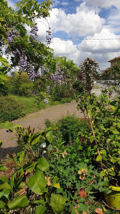 B&B Villa Giardini Susanna Gattico 外观 照片