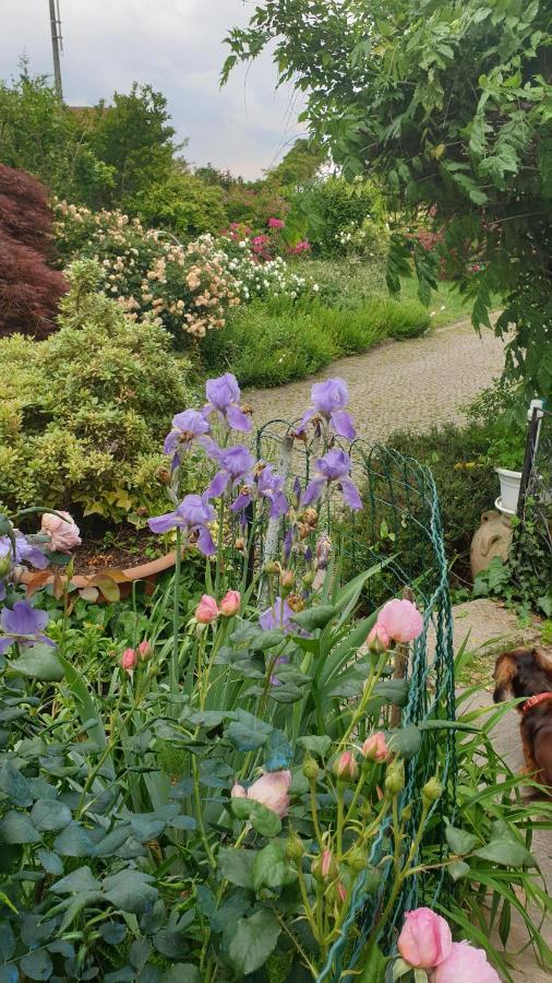 B&B Villa Giardini Susanna Gattico 外观 照片