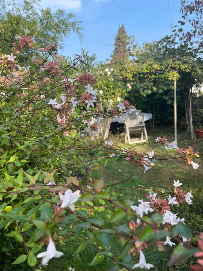 B&B Villa Giardini Susanna Gattico 外观 照片