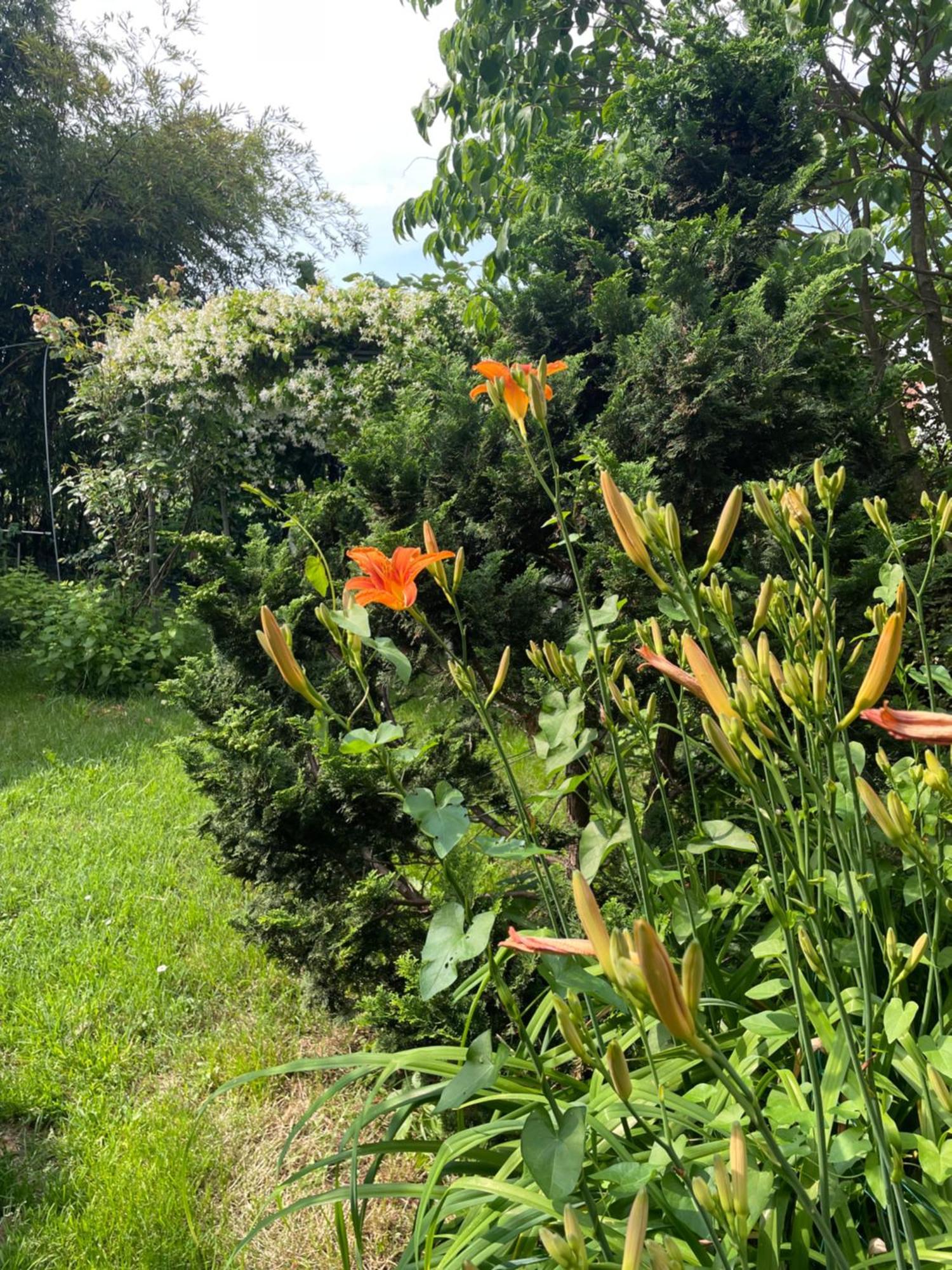 B&B Villa Giardini Susanna Gattico 外观 照片