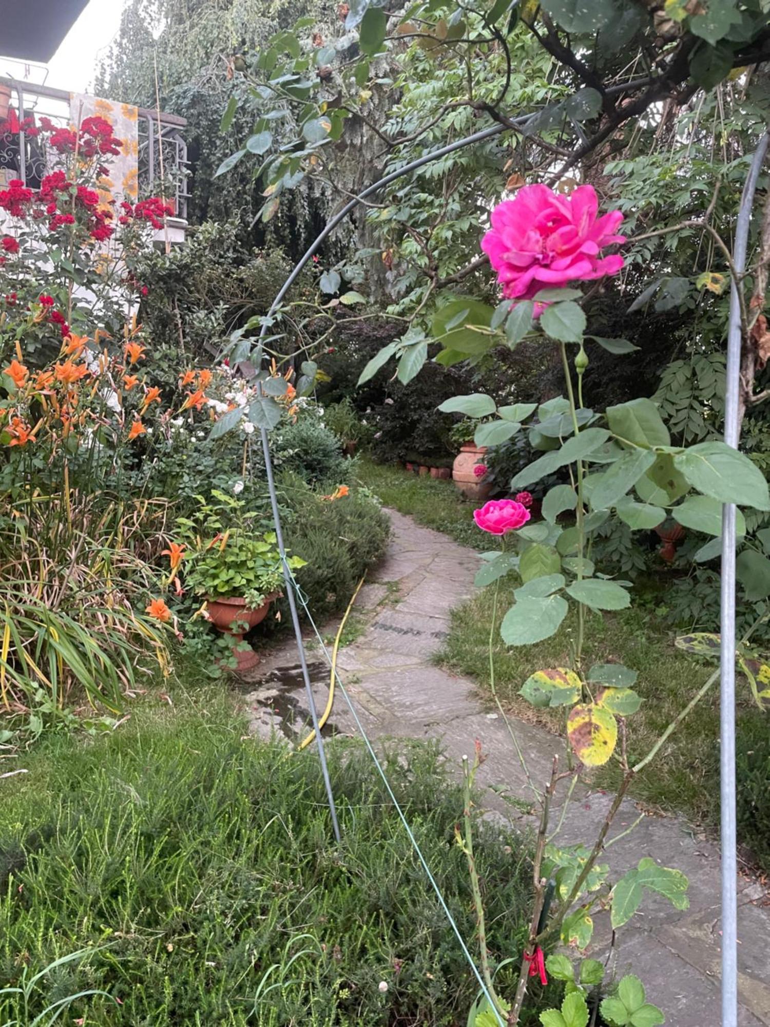 B&B Villa Giardini Susanna Gattico 外观 照片